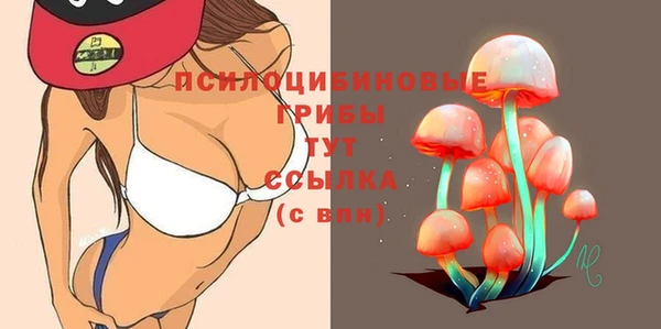 амфетамин Гусев