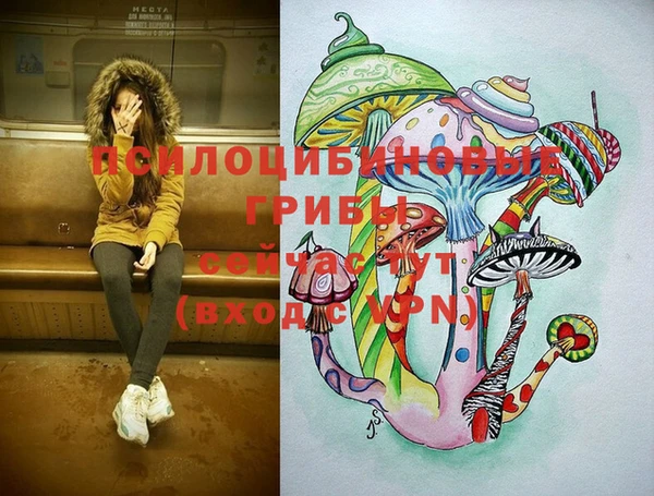 метадон Гусь-Хрустальный