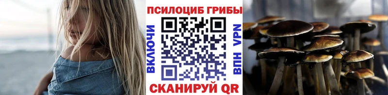 Купить где  Зея  Галлюциногенные грибы MAGIC MUSHROOMS 